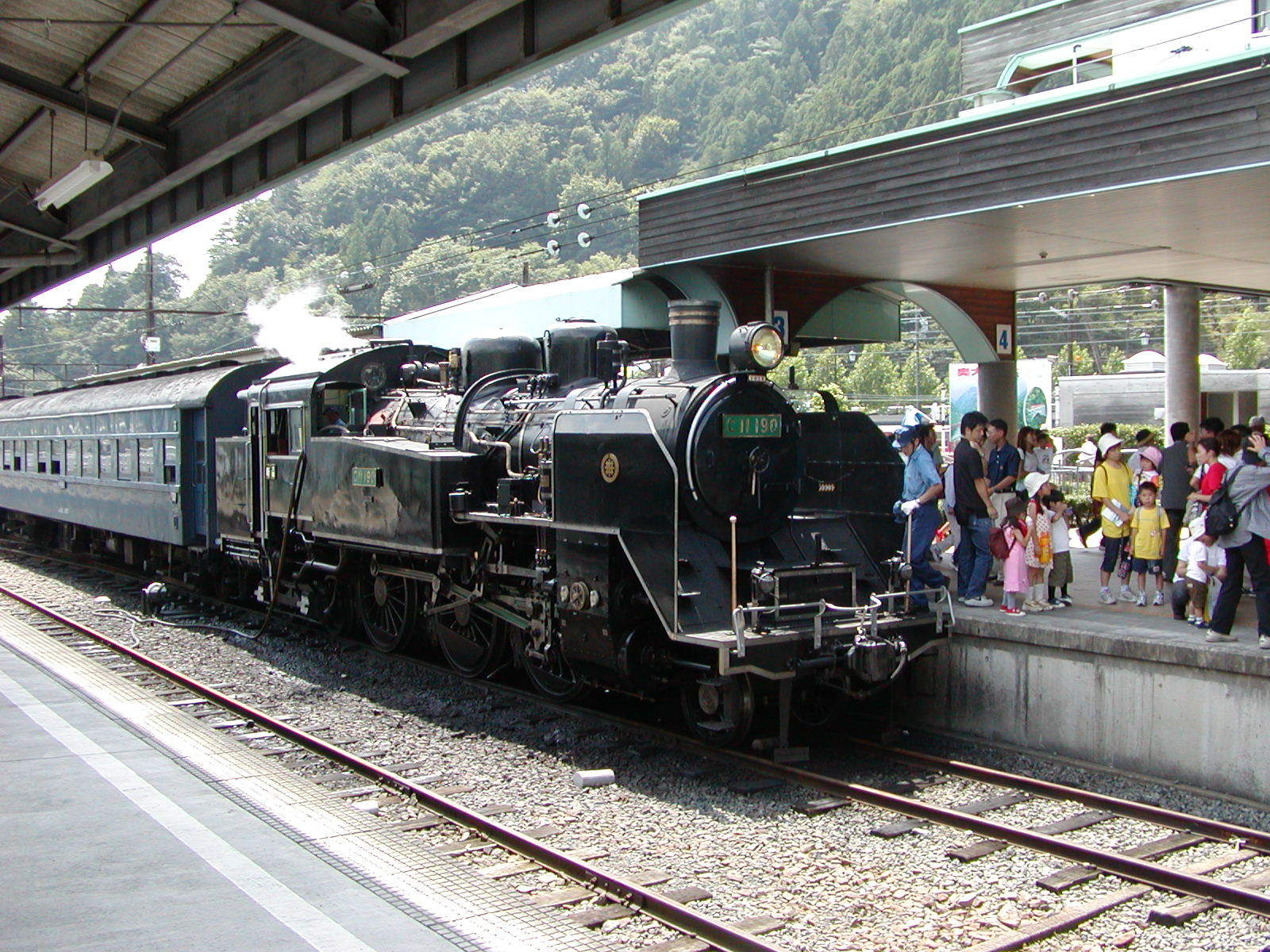 C11190